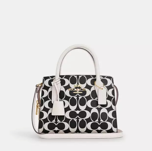 NEW! Andrea Carryall in Signature Canvas, CP080 - Picture 8 of 8